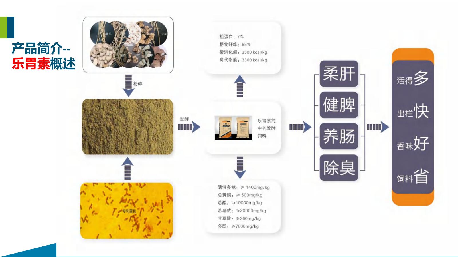 PPT-乐胃素产品简介-20211028_08.jpg